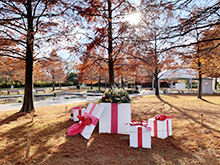 クリスマス花のオブジェ展