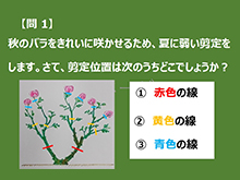 138フラワーボランティア