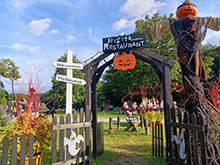 ハロウィンフォトスポット