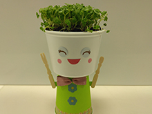 おうちでミニベジ・スプラウトを育ててみよう