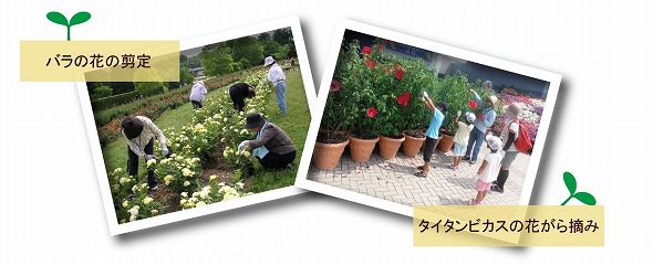 活動の様子