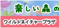 楽しい森のようちえん