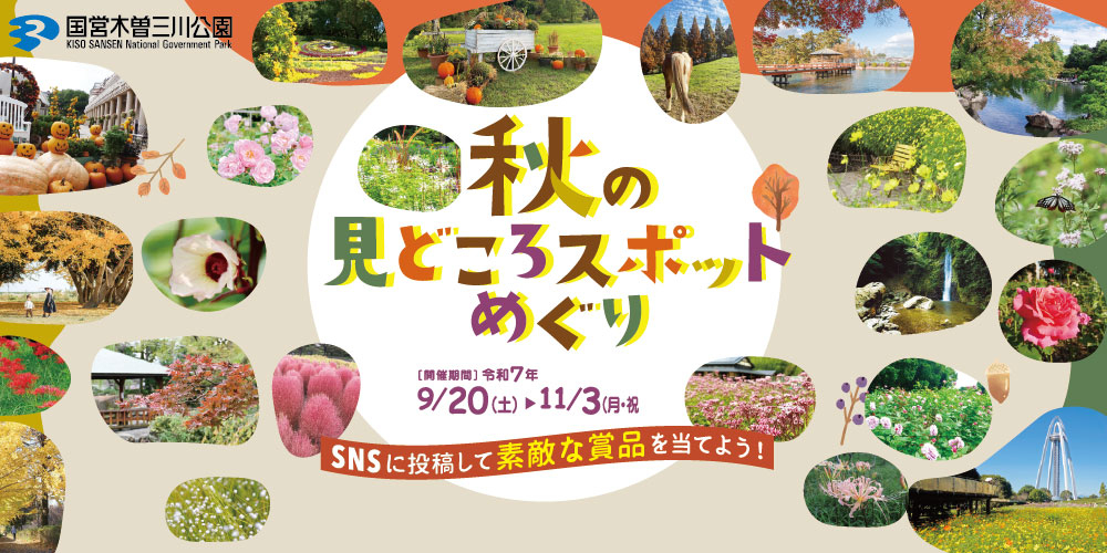 木曽三川公園センター デジタルフォトラリー「秋の見どころスポットめぐり」木曽