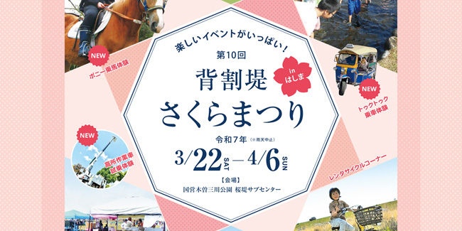 背割堤さくらまつり inはしま