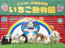 ふれあい動物園