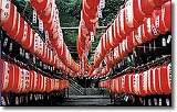 ちょうちんまつり