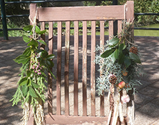 草花で壁飾りを作ろう