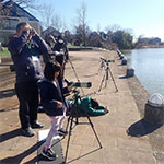 冬の渡り鳥を観察しよう