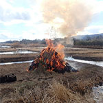 どんど焼き体験
