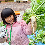 冬の野菜収穫体験