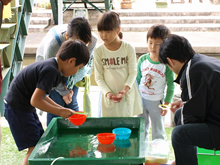 メダカすくい