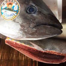 本マグロ解体ショー