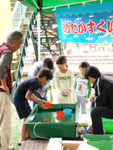 メダカすくい