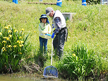 ままず調査団「野草や春の生き物を観察しよう」
