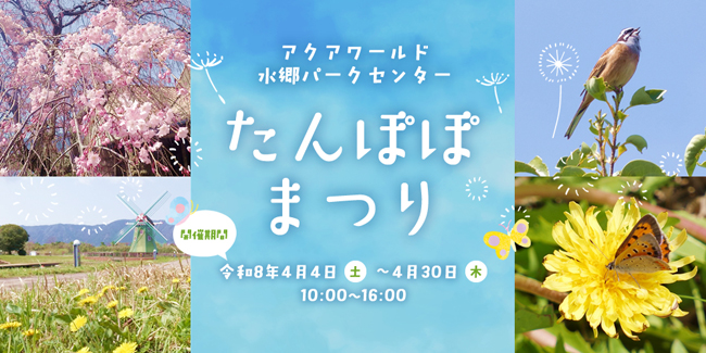 パークセンターたんぽぽまつり