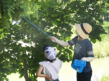 ままず調査団~夏の水辺を観察しよう