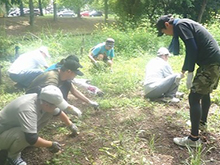 プチボランティア~花壇のお手入れ隊