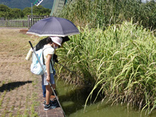 プチボランティア~花壇のお手入れ隊