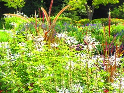 みどりが丘公園