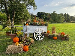 フラワーパーク江南