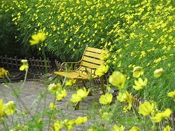 木曽三川公園センター