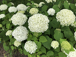 農業文化園・戸田川緑地