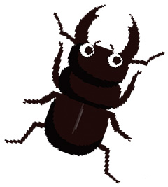 クワガタ