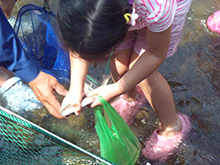 マスのつかみ取り