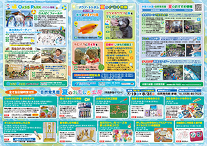 夏の楽園祭チラシ
