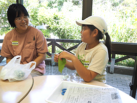 野草でお茶を作ろう~アカメガシワ編~