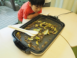 野草でお茶を作ろう~アカメガシワ編~
