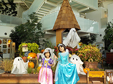 ハロウィンの衣装貸出し