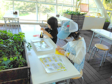 みんなで秋の森を彩ろう