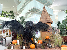 ハロウィン花のオブジェ展