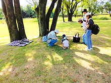 フラワーパーク平日のおさんぽ会 森のこども園