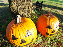 フラワースナップ!‘autumn’