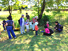 みんなで秋の森を彩ろう