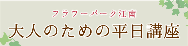 大人のための平日講座