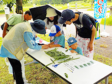 ふれあいまつり「子供の縁日」