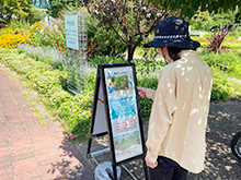 夏のクイズラリー