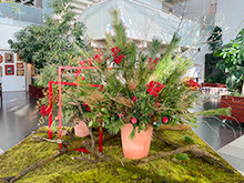 お正月オブジェ登場!