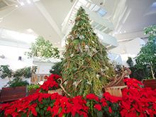 フラワースナップ ‘winter’