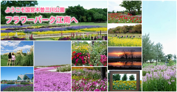 ようこそ国営木曽三川公園 フラワーパーク江南へ