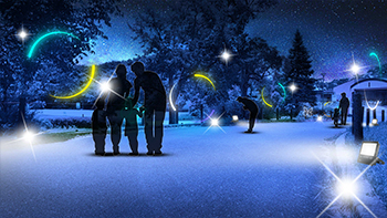 蝶たちの輪舞(ろんど)