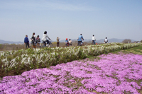 木曽川沿川周遊サイクリング