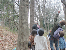 もくパラ自然観察会