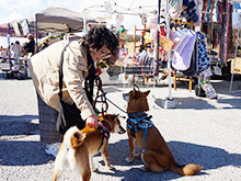 わんわんキャラバン