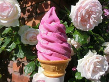 ローズフェスタ限定メニュー販売