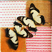 アートする昆虫展 ~色彩-irodori-