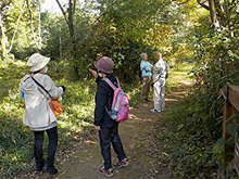 植物と野鳥の観察会